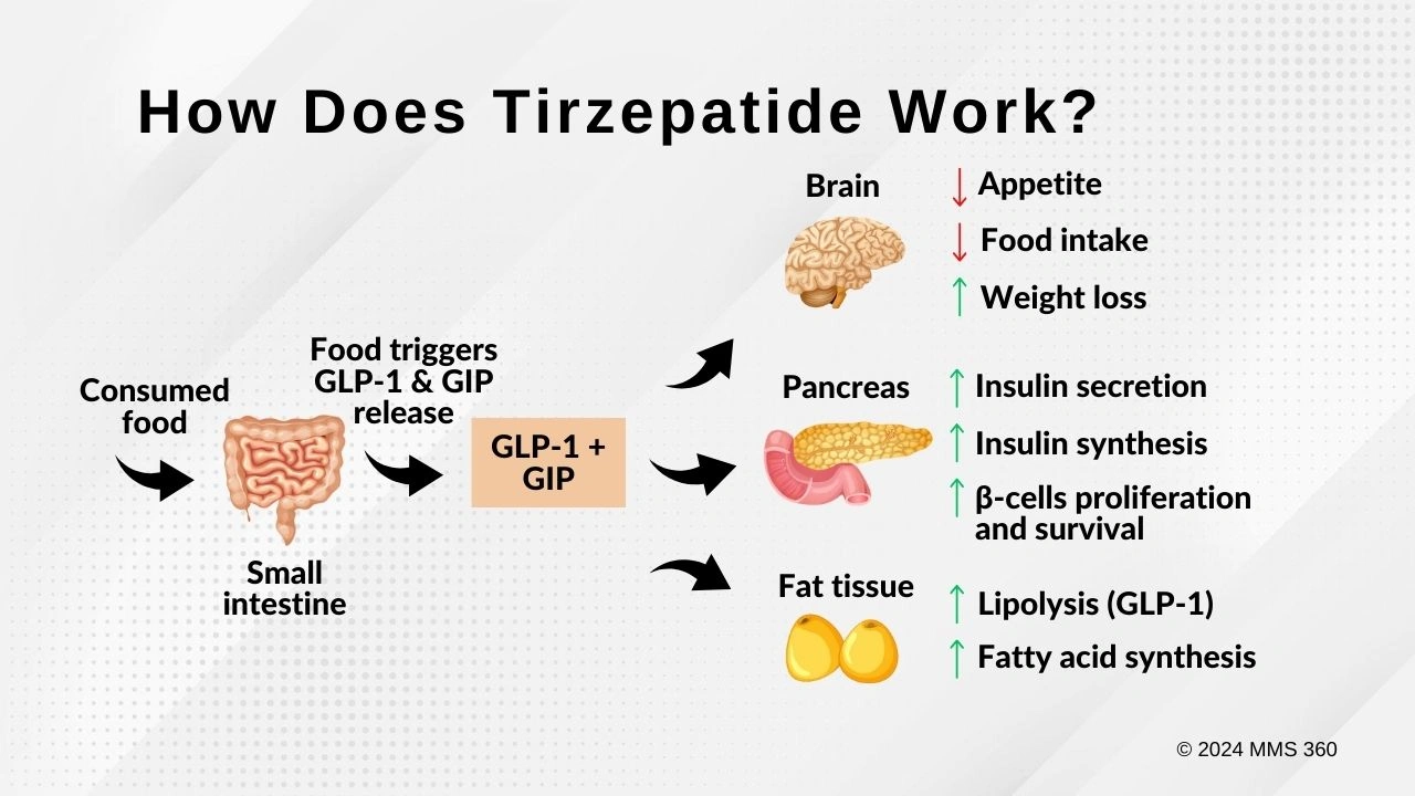 How-Does-Tirzepatide-Work