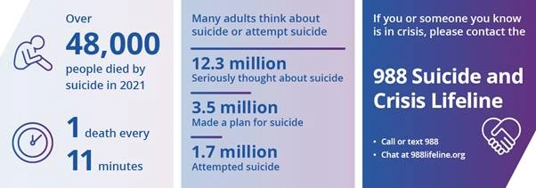 Figure 1 Suicide statistics - CDC US